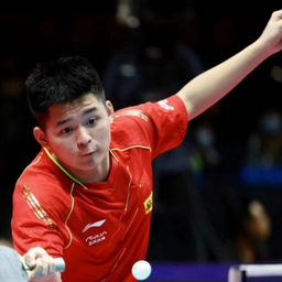 不拘泥于特 不拘泥于特