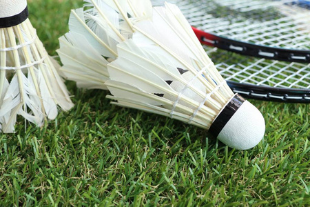 场均24分 场均24分